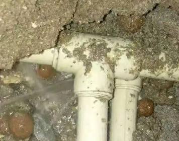 宏伟测漏水多少钱