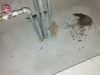 宏伟卫生间测漏水价格明细