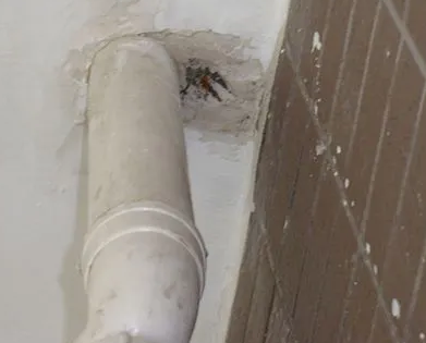 宏伟漏水检测哪家好